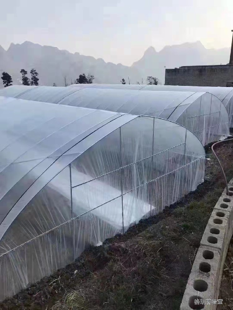 蔬菜單體大棚